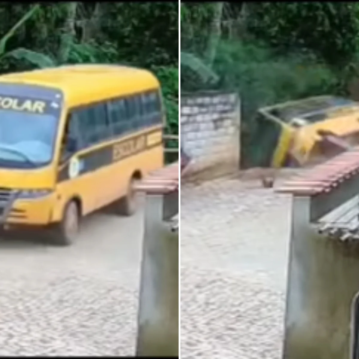 Ônibus escolar despenca de barranco e cai em rio em MG; motorista se feriu