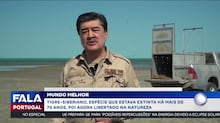 Homem morre após entrar em recinto de tigres em parque de fauna selvagem do Reino Unido, diz polícia
